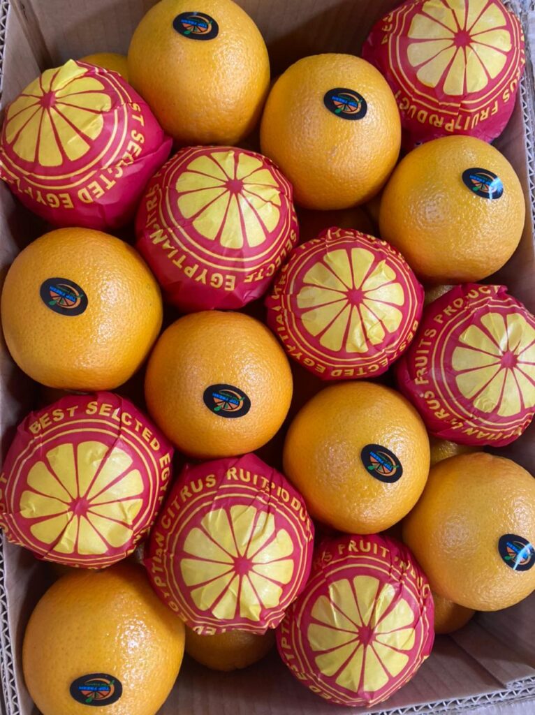 WhatsApp-Image-2024-05-17-at-2.53.30-PM