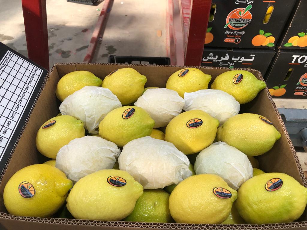 WhatsApp-Image-2024-05-17-at-2.53.33-PM